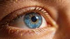 目のエクササイズ：視界をクリアにし、目の疲れを防ぐ5つのテクニック