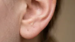 なぜ耳垢がこんなに溜まるのか：誰も教えてくれない真実