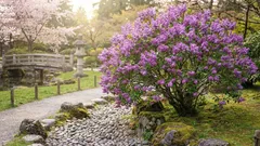 問題なく育ち、花を咲かせるライラック――すべての園芸家に向けた重要なアドバイス