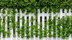 フェンスの代わりになるもの：生垣に最適な成長の早い植物